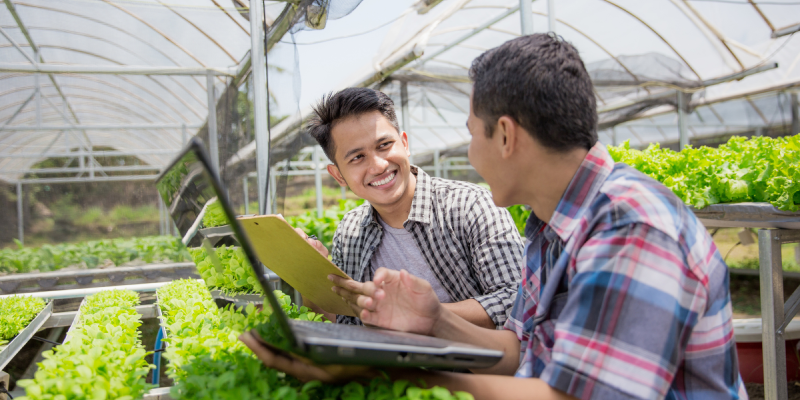 cultivars and technology