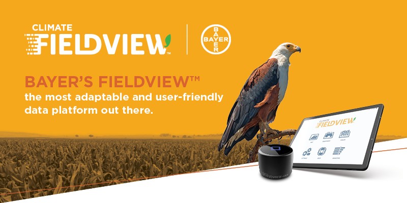FieldView Drive