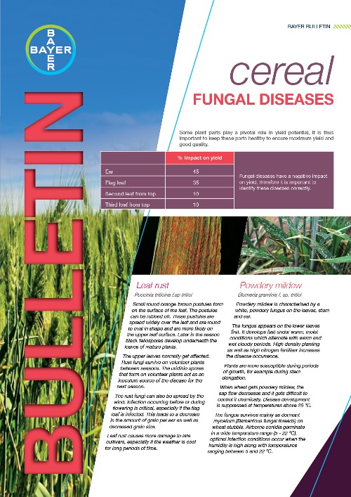 Cereal fungal diseases
