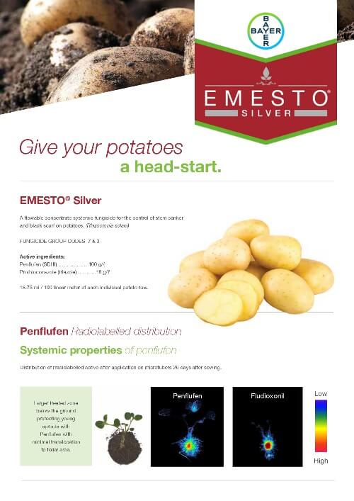 Emesto Silver