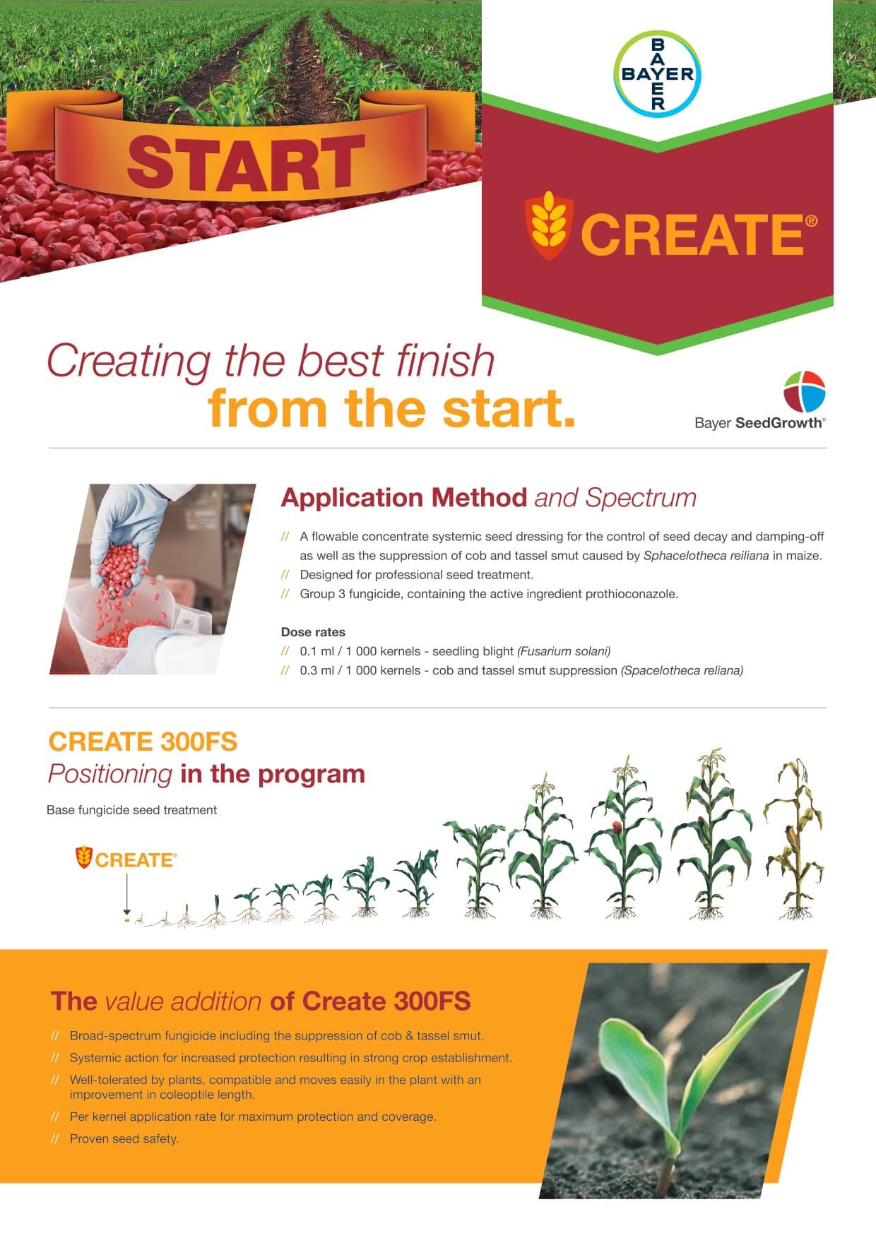 Bayer Maize Create 300FS