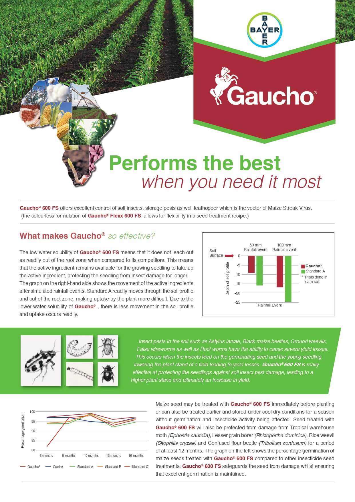 Bayer Maize Gaucho Leaflet