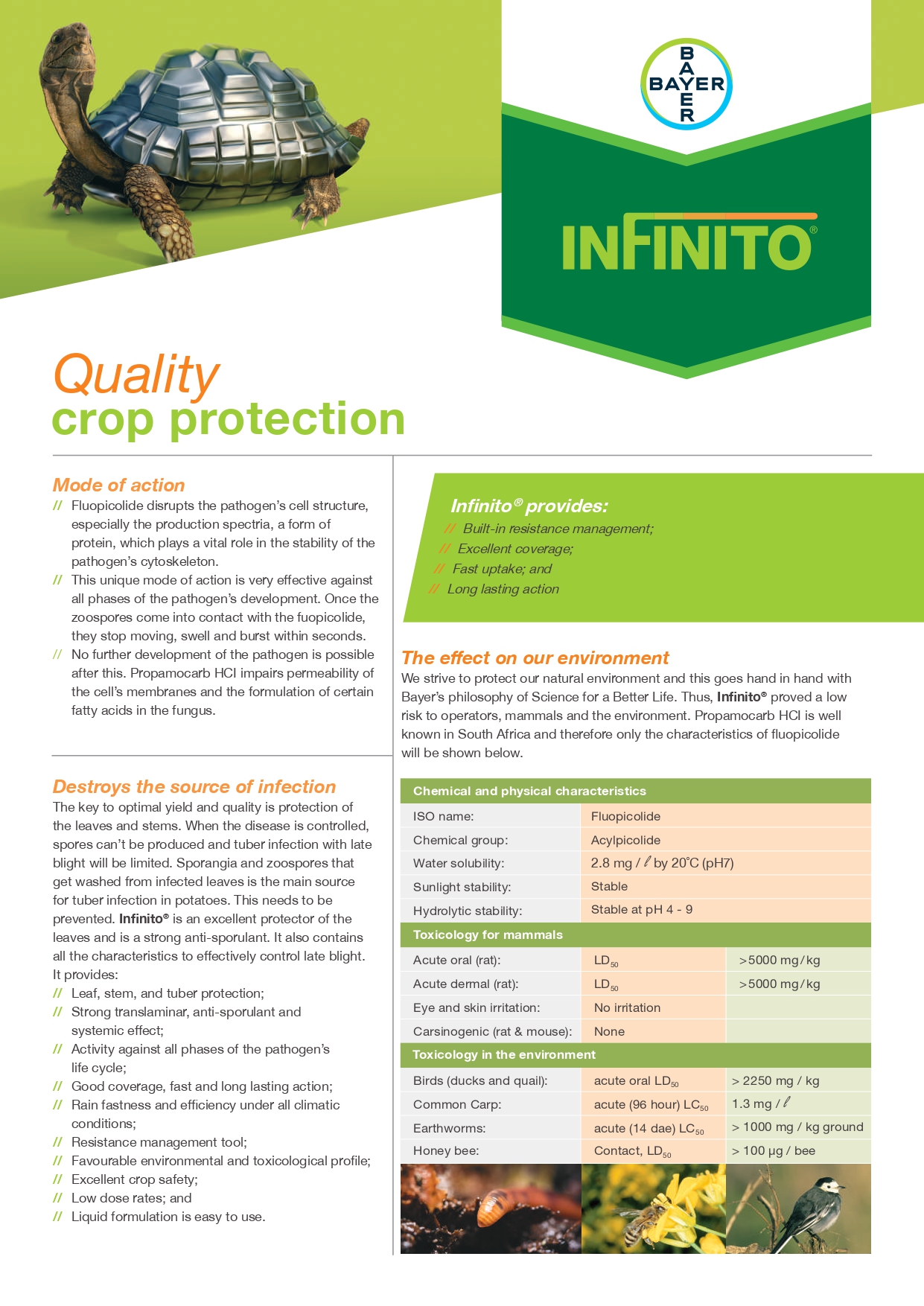 Bayer Potato Infinito Leaflet
